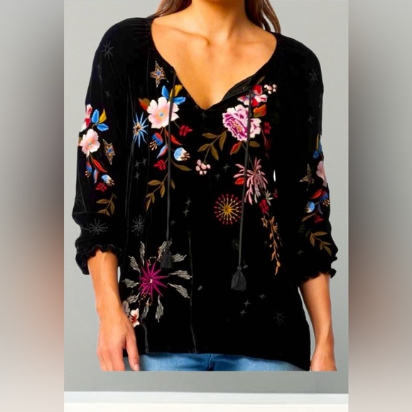 HP๐ JohnnyWas Velvet top  ๐บ๐ธ - Picture 8 of 16